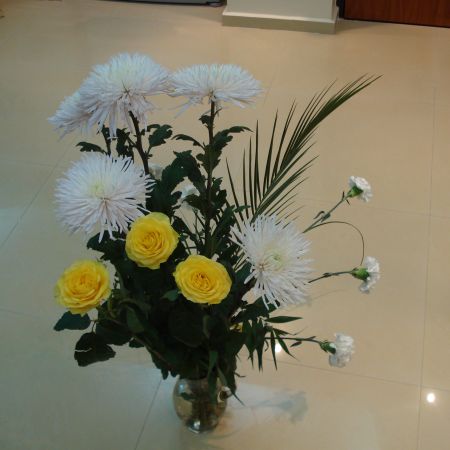 Flori...(Mihaela)